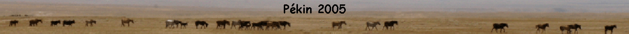 Pkin 2005
