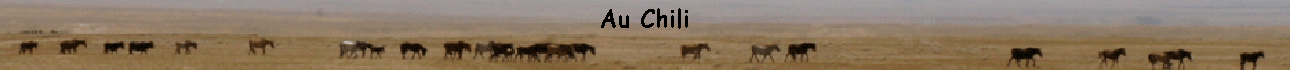 Au Chili