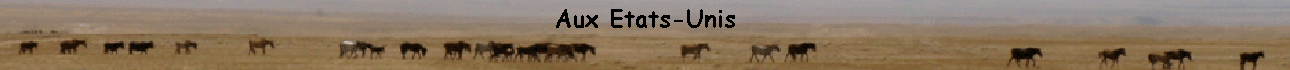 Aux Etats-Unis