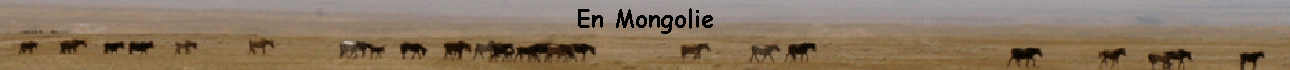 En Mongolie
