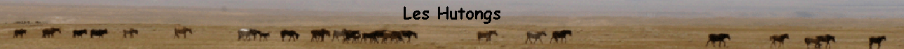 Les Hutongs