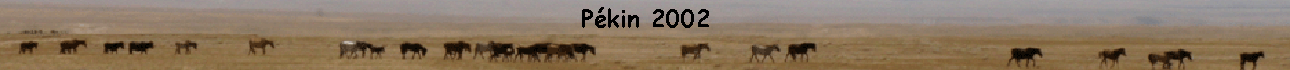 Pkin 2002