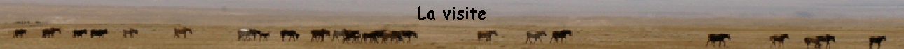 La visite