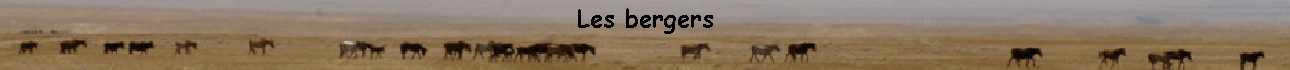 Les bergers