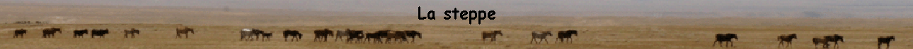 La steppe