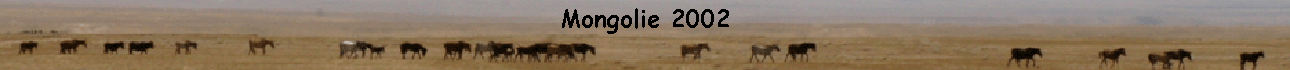 Mongolie 2002