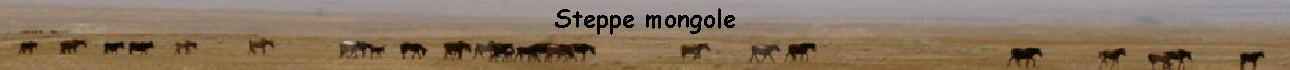 Steppe mongole