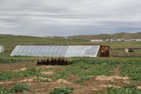 WORKS AT THE GREEN HOUSE