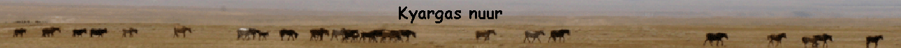 Kyargas nuur