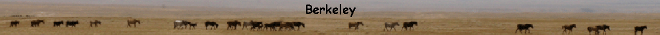 Berkeley