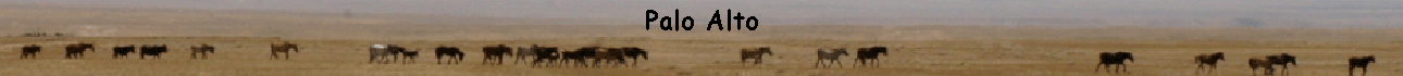 Palo Alto