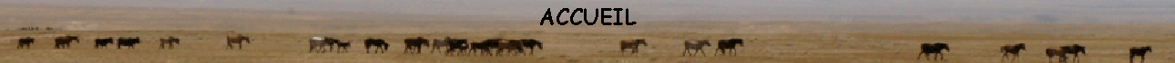 ACCUEIL